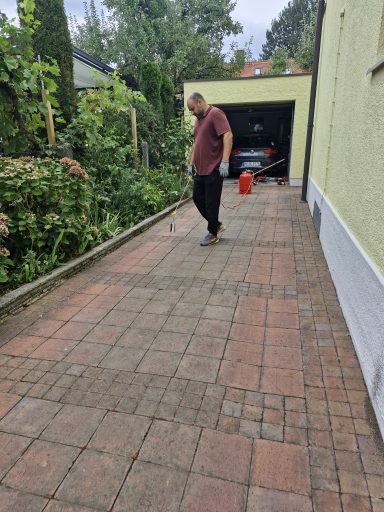 Gepflegter Gartenweg Nachher: sauberer Gartenweg
