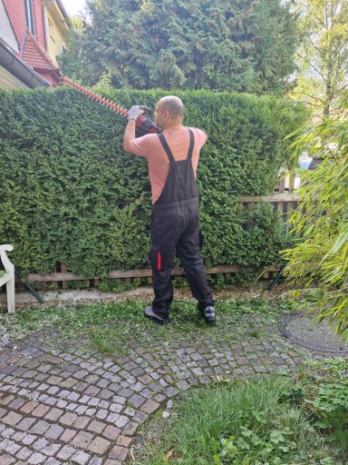 Heckenschnitt – obere Heckenkante Mann in schwarzer Latzhose schneidet die obere Kante einer hohen Gartenhecke neben einem gepflasterten Weg.