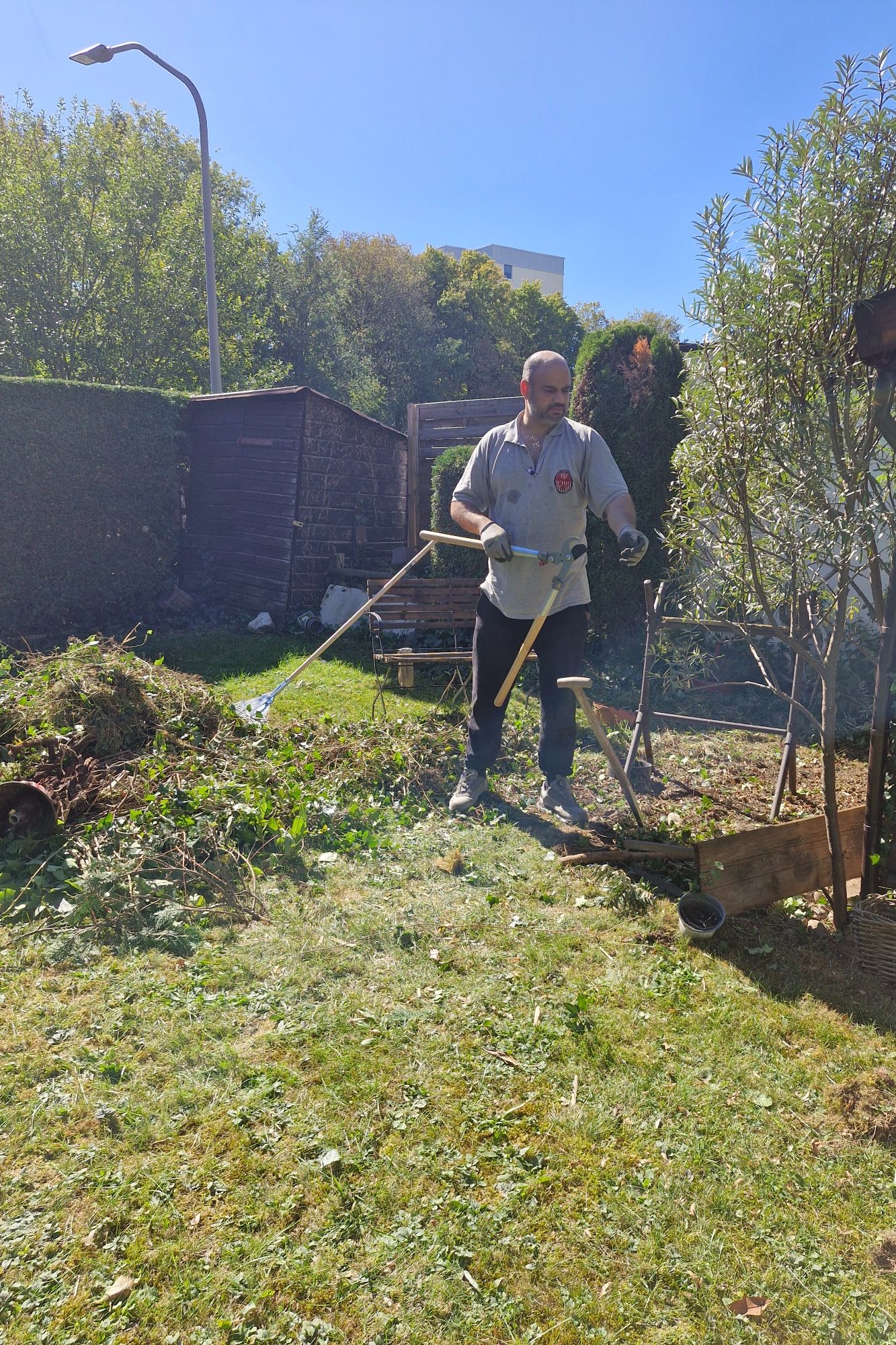 Mann mit Astschere steht neben einem Baum und einem Haufen Schnittgut im Garten.