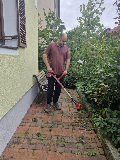 Unkrautentfernung am Gartenweg Vorher: Unkraut zwischen Pflastersteinen