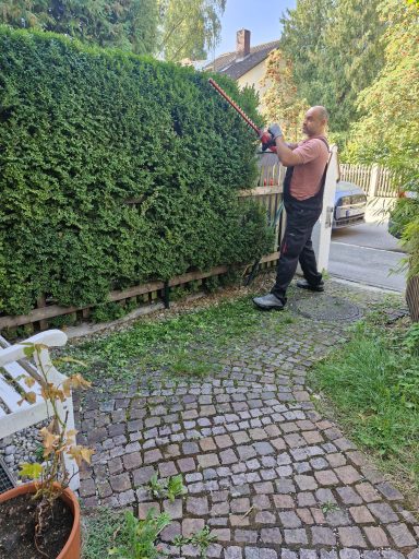 Heckenpflege entlang des Gartenwegs Mann in schwarzer Latzhose pflegt eine hohe dichte Hecke entlang eines gepflasterten Gartenwegs.