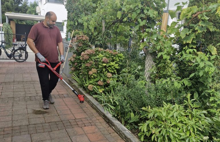 Reinigung am Gartenbeet Mann fegt einen gepflasterten Weg neben bepflanzten Gartenbeeten.