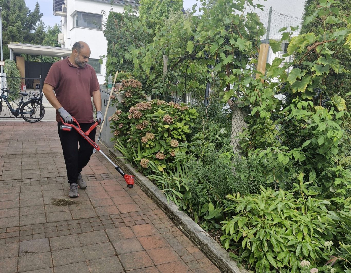 Professionelle Gartenpflege in München Mitarbeiter von ANUK Gartenpflege bei der professionellen Gartenpflege in München