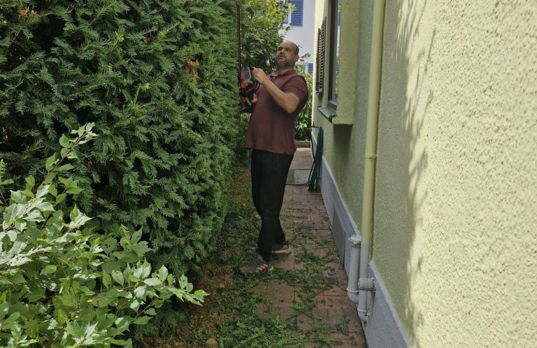 Gartenpflege neben der Hauswand Mann pflegt eine Gartenhecke entlang eines schmalen Wegs neben einer Hauswand.