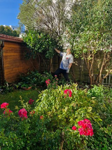Pflanzenpflege im Garten Mann arbeitet mit erhobenem Gartengerät an Gehölzen neben einem Holzschuppen und einem blühenden Beet.